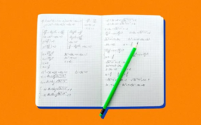 student daily assignment