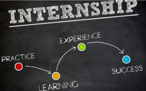 degree internship program